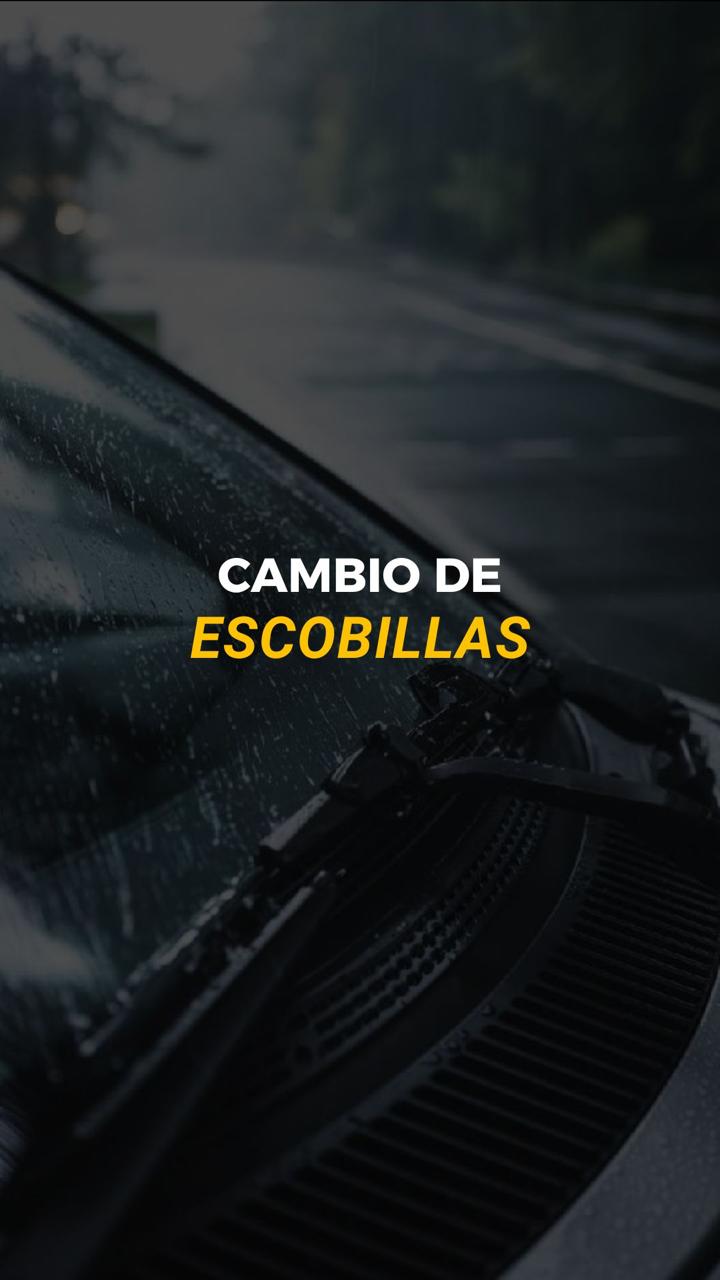 CAMBIO DE ESCOBILLAS