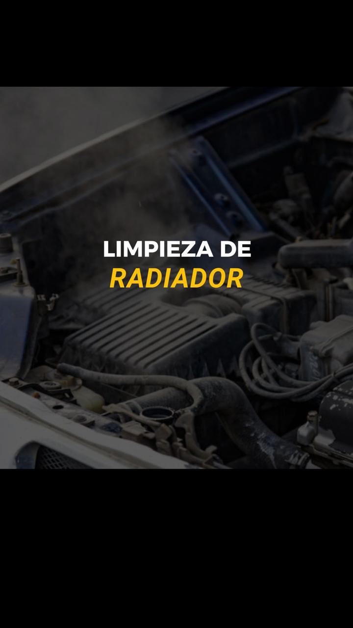 LIMPIEZA DE RADIADOR